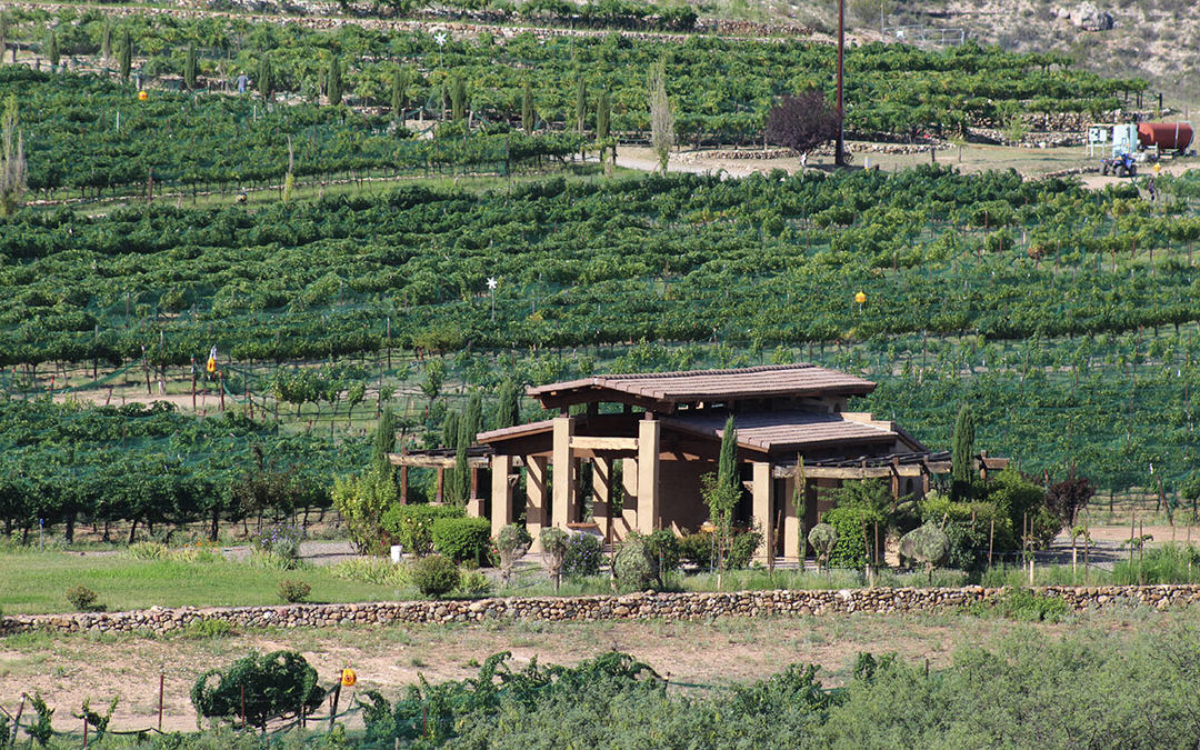 Who is Alcantara Vineyard and Winery and how do you grow grapes in the desert?